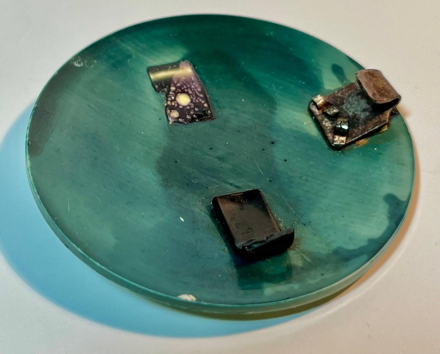 Vintage Asian Celluloid Belt Buckle