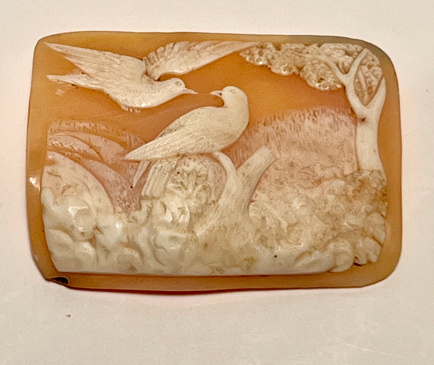 Cameo