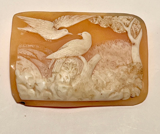 Cameo