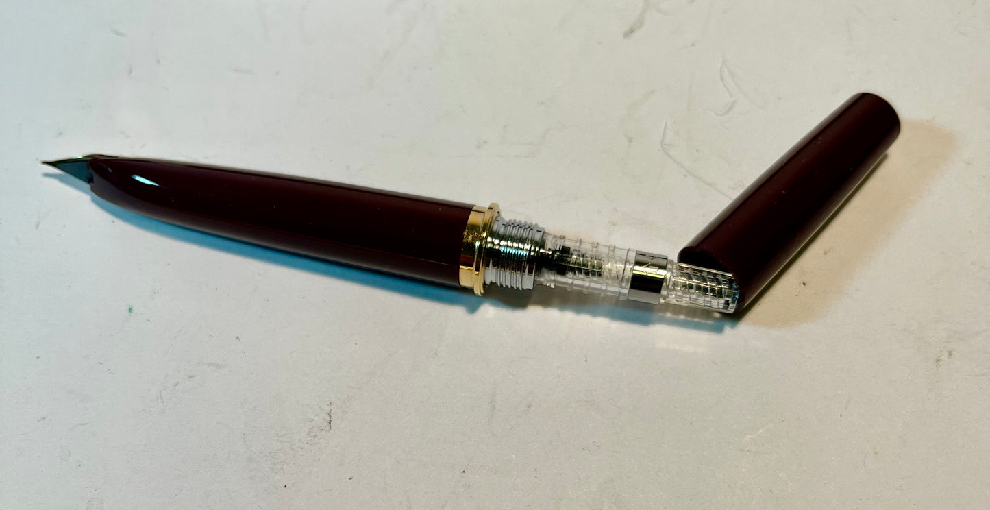 Pilot e95s Fountain Pen